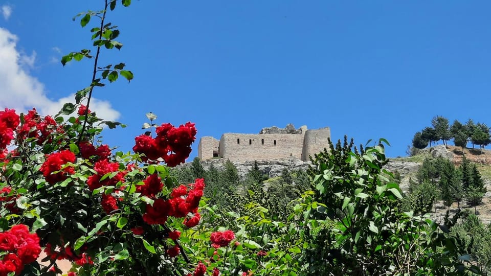 Casa rural Marcelina Country House in Aragon