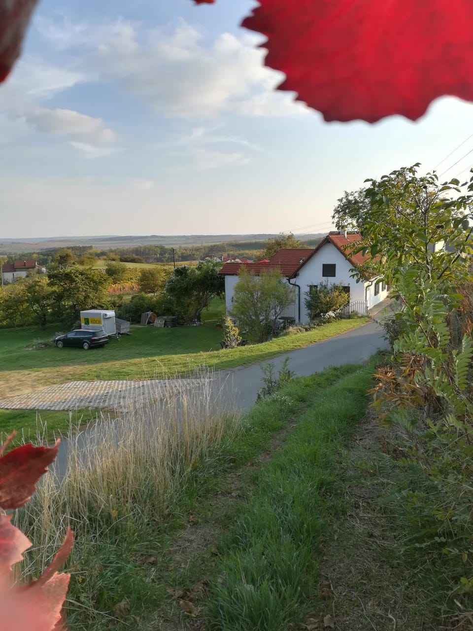 Property building, Neighbourhood, Garden, Garden view