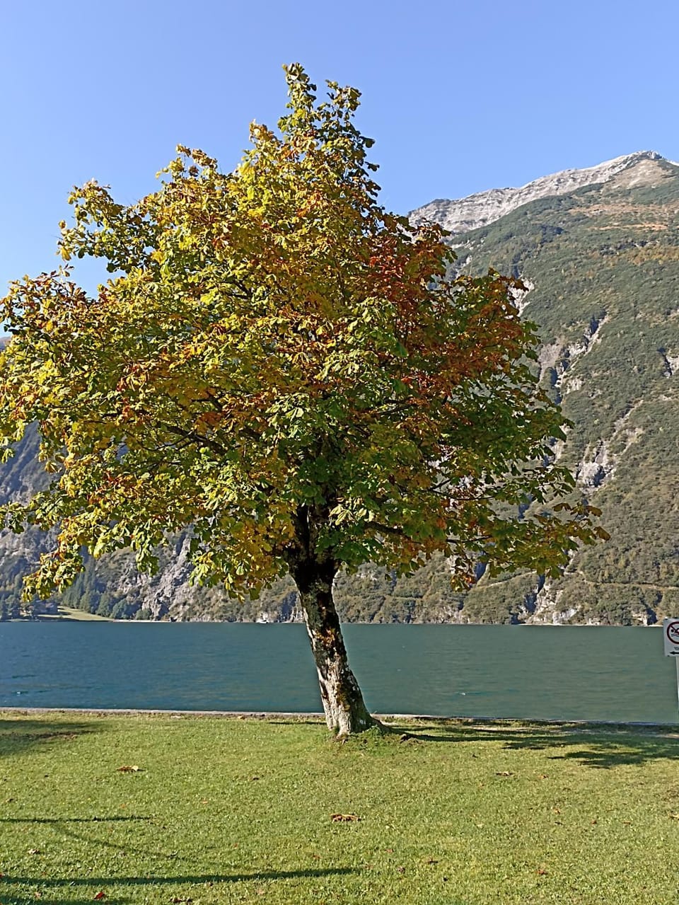 Natural landscape