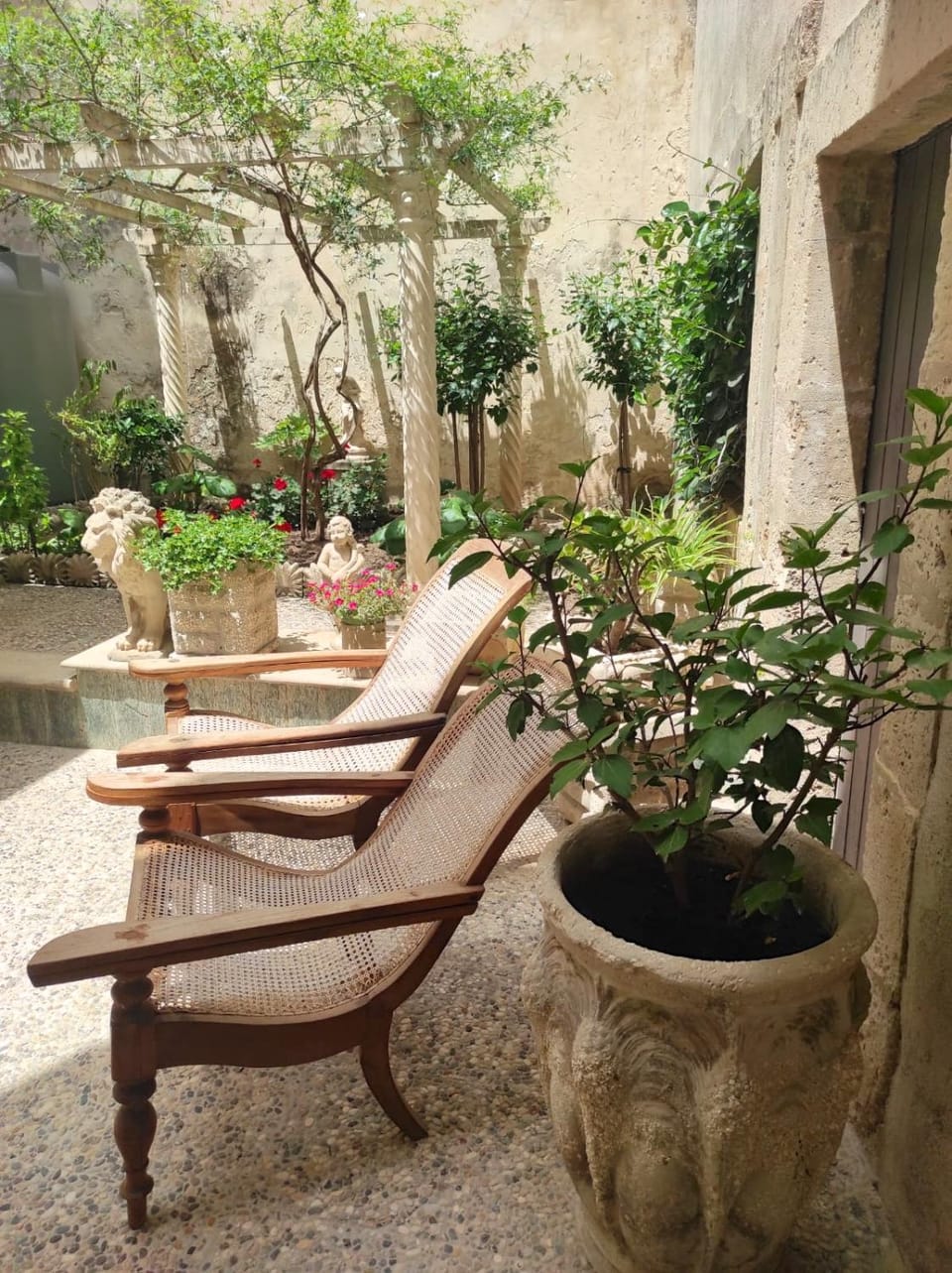 Garden