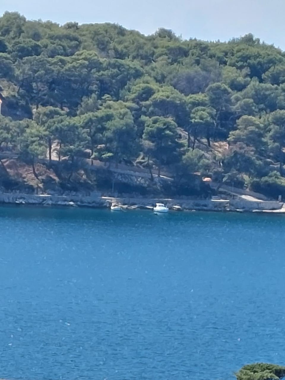 The Look Apartment in Mali Losinj
