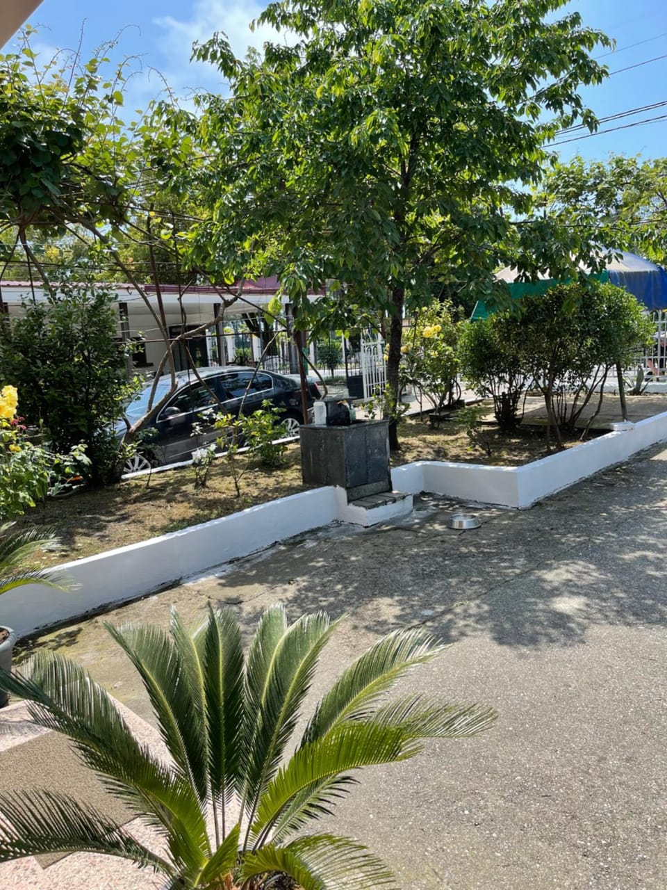 Facade/entrance, Natural landscape