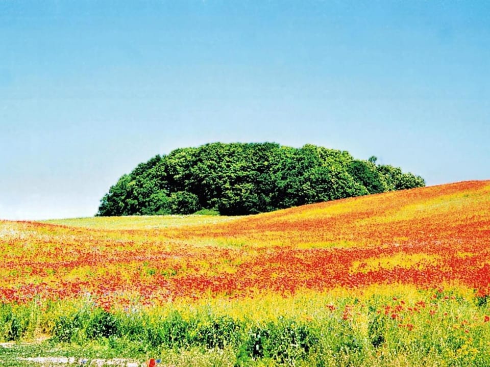 Natural landscape