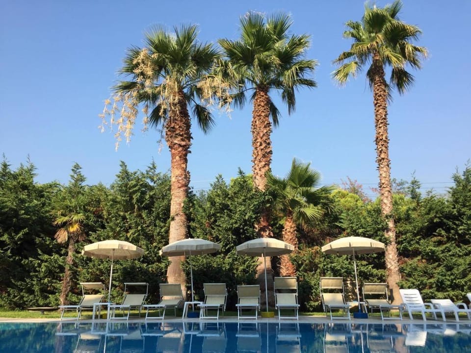 Swimming pool, Swimming pool