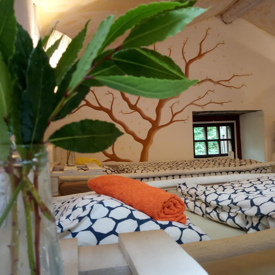 bunk bed