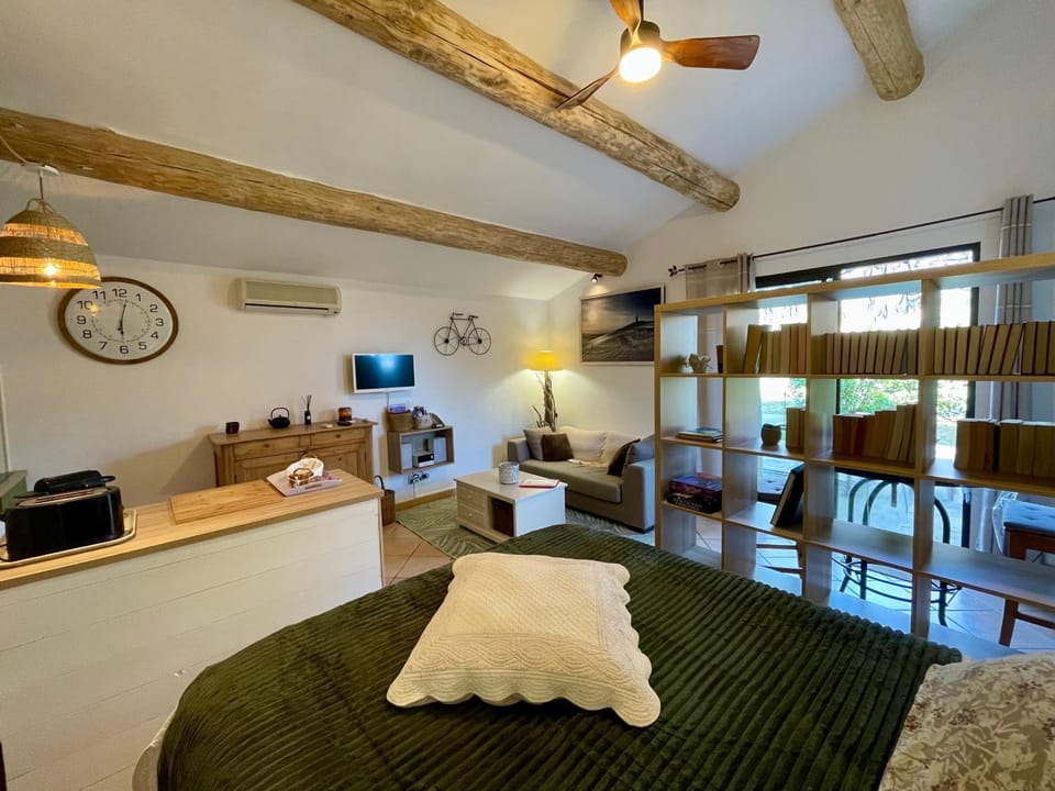 Bed, Kitchen or kitchenette, Living room, Seating area, Dining area, Bedroom