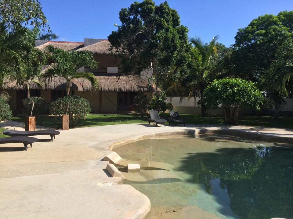 Property building, Patio, Garden, Swimming pool