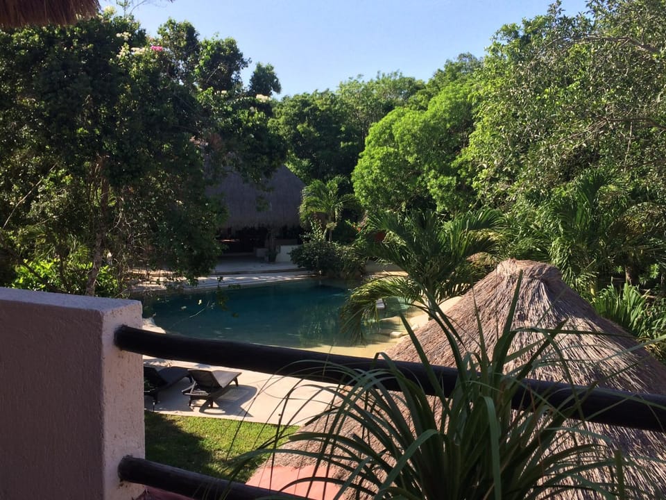 Balcony/Terrace, Garden view