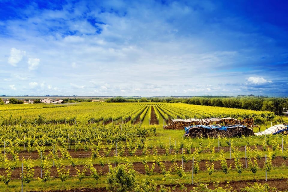 Property logo or sign, View (from property/room)