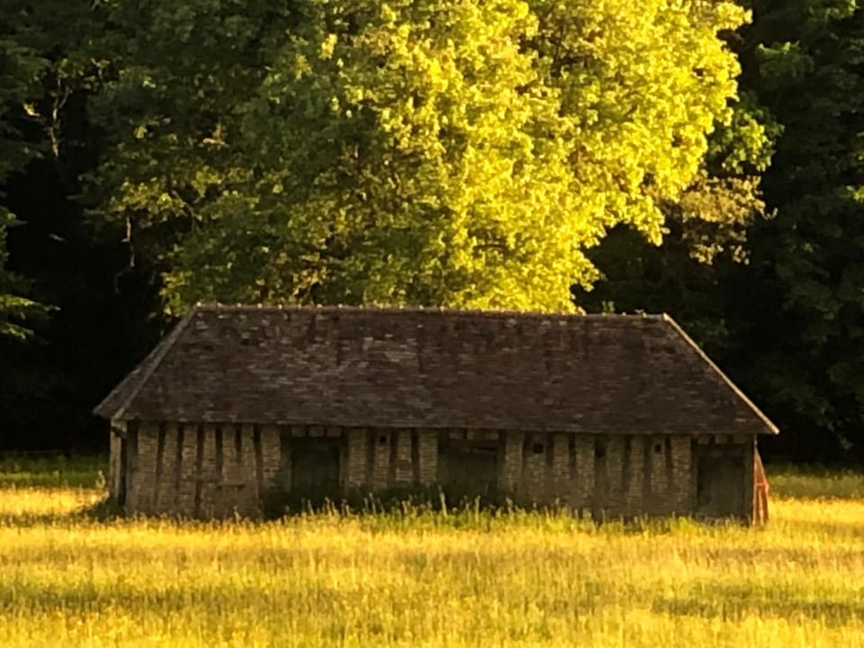 Natural landscape