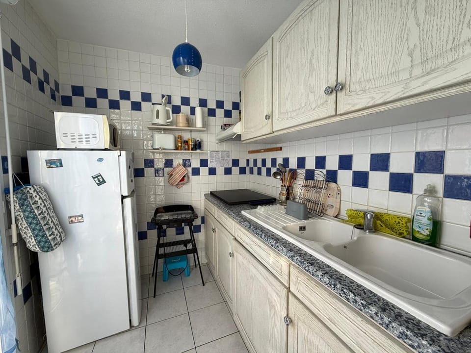 BANYULS-SUR-MER, appartement T3, proche plage et commerces - FR-1-309-33 Apartment in Port-Vendres