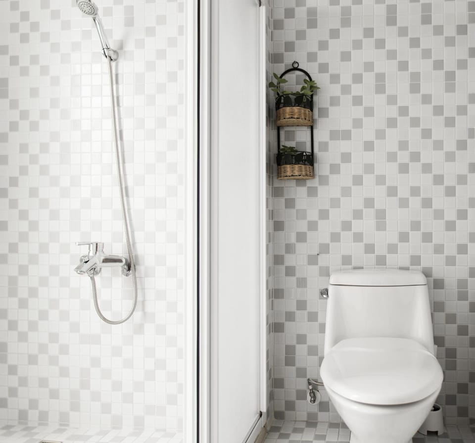 Shower, Toilet, Bathroom, Bathroom