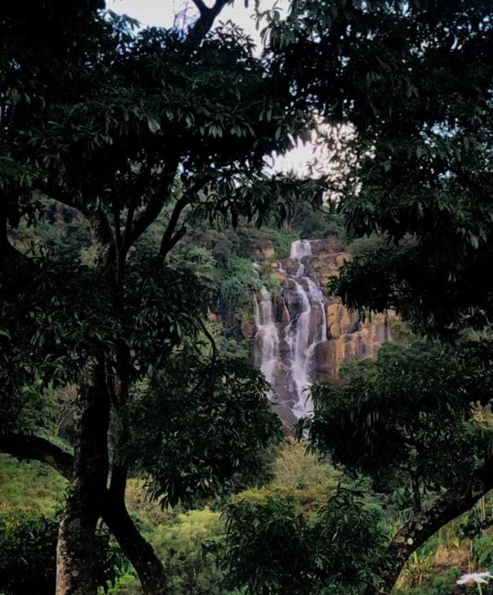 Natural landscape