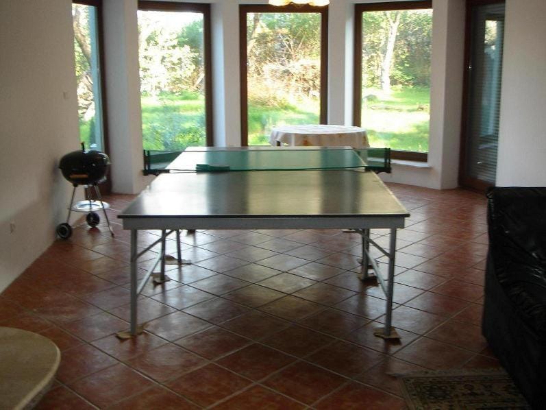 Table tennis