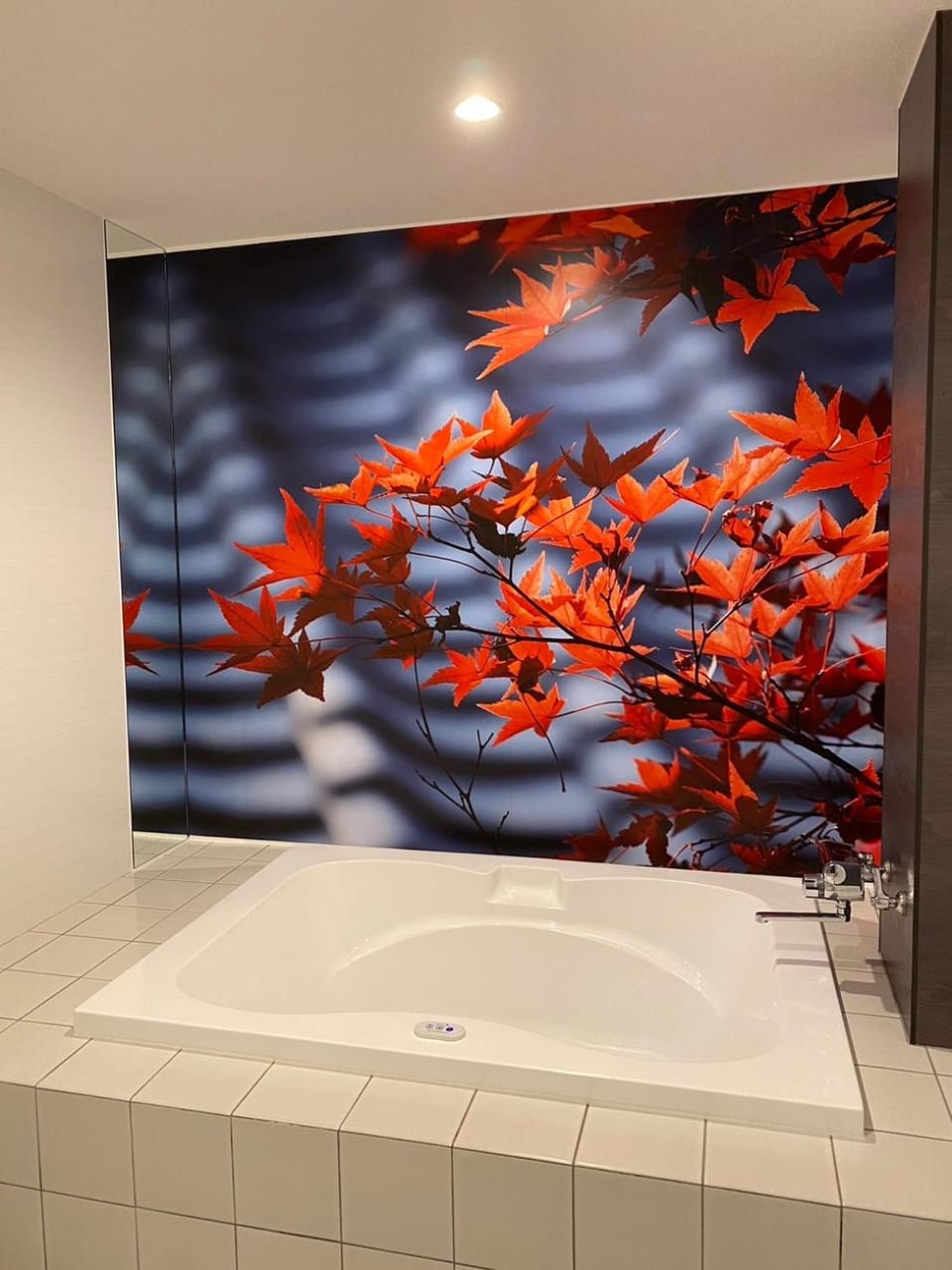Bathroom, Bath