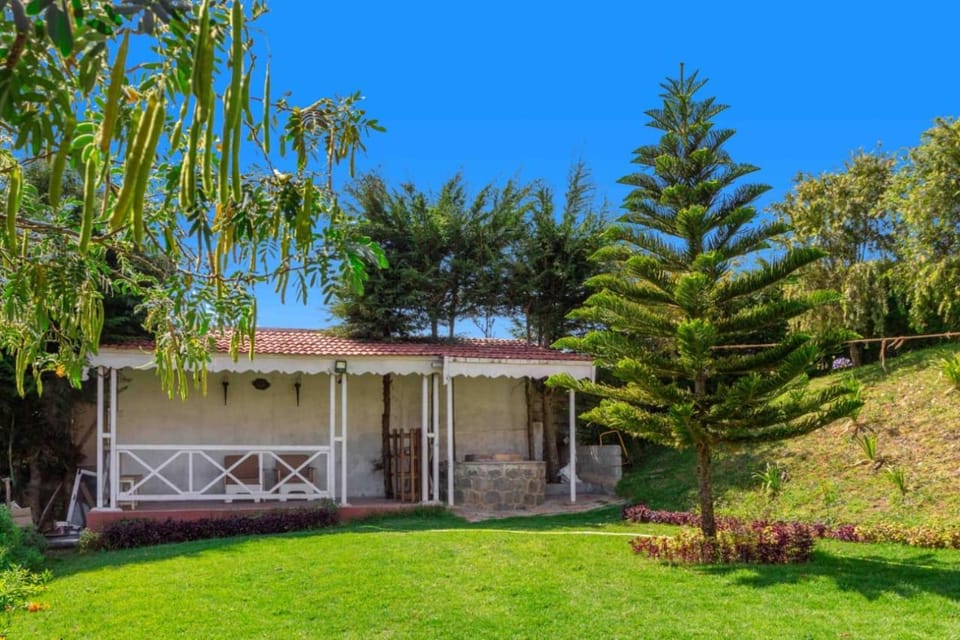 Property building, Garden, Garden view
