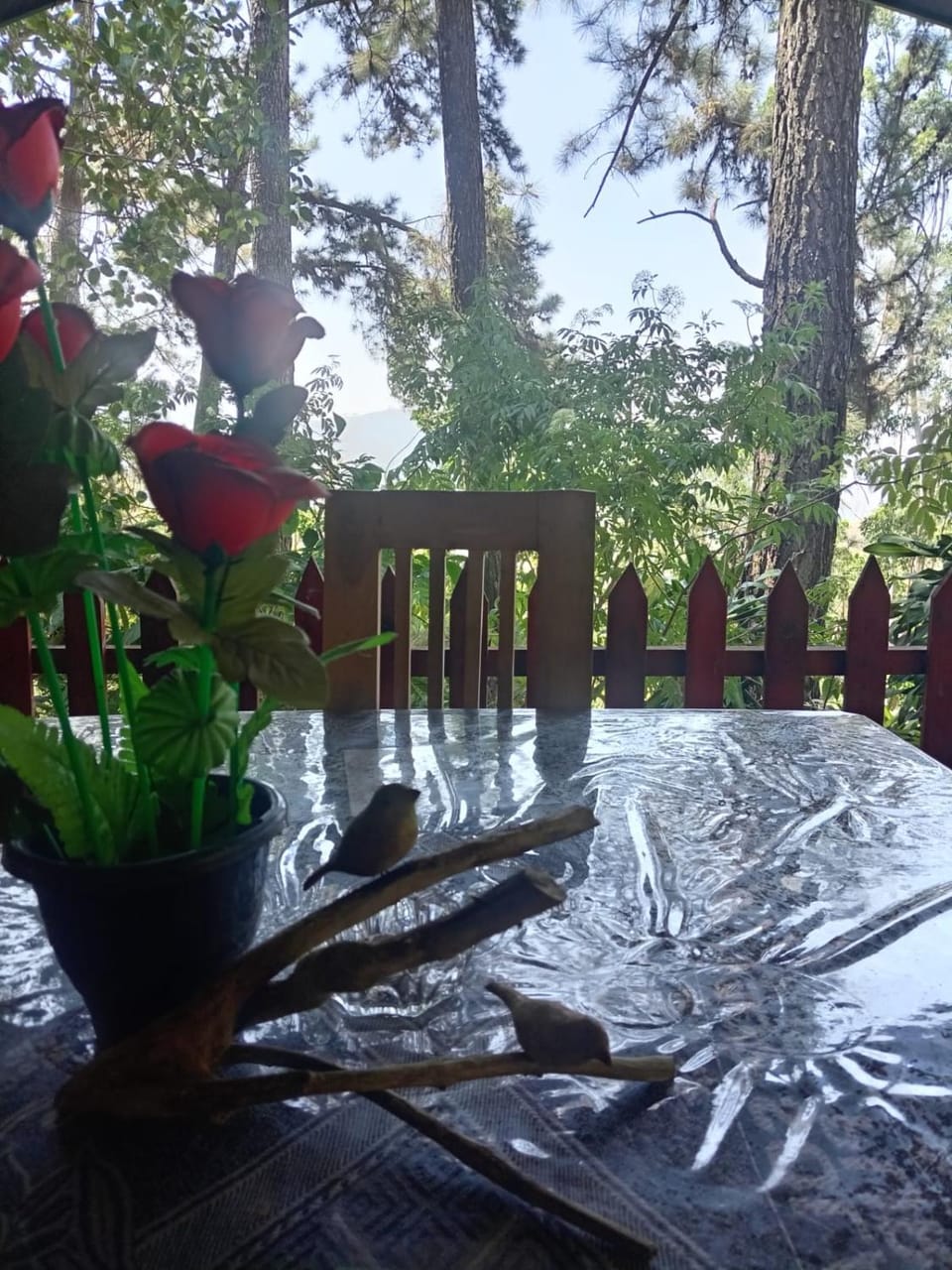 Green Heaven Lodge Bed and Breakfast in Uva Province, Sri Lanka