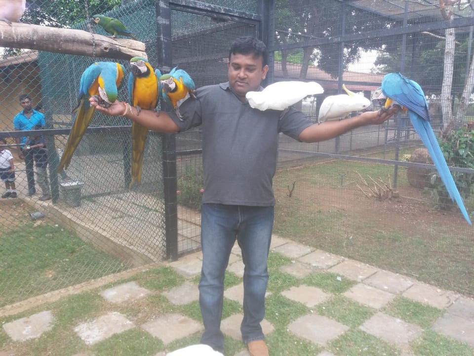 Amawin Resort Bed and Breakfast in Southern Province