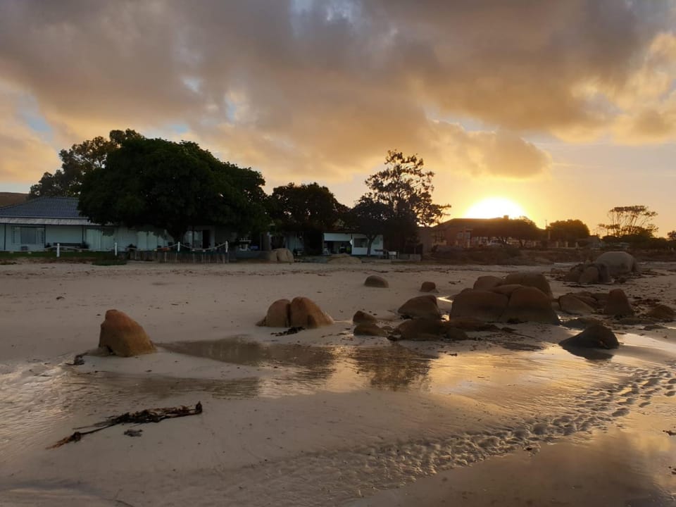Beach, Sunset