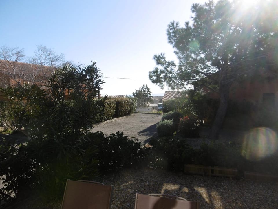 Day, Natural landscape, Garden, Garden view