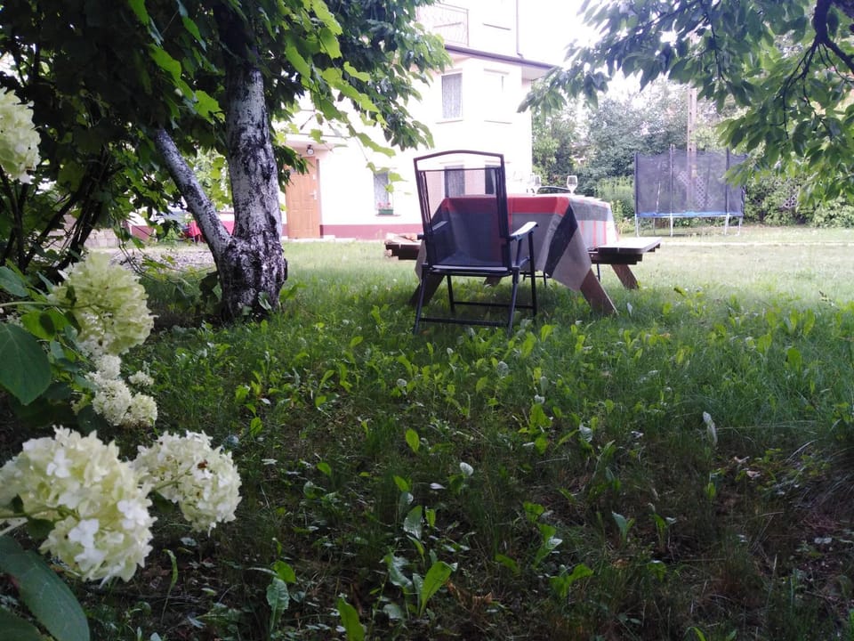Patio, Garden