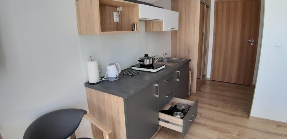 Coffee/tea facilities, Kitchen or kitchenette, minibar, stove