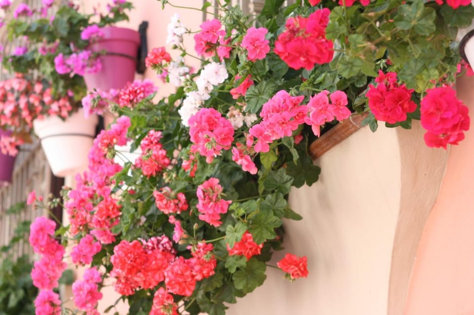 Spring