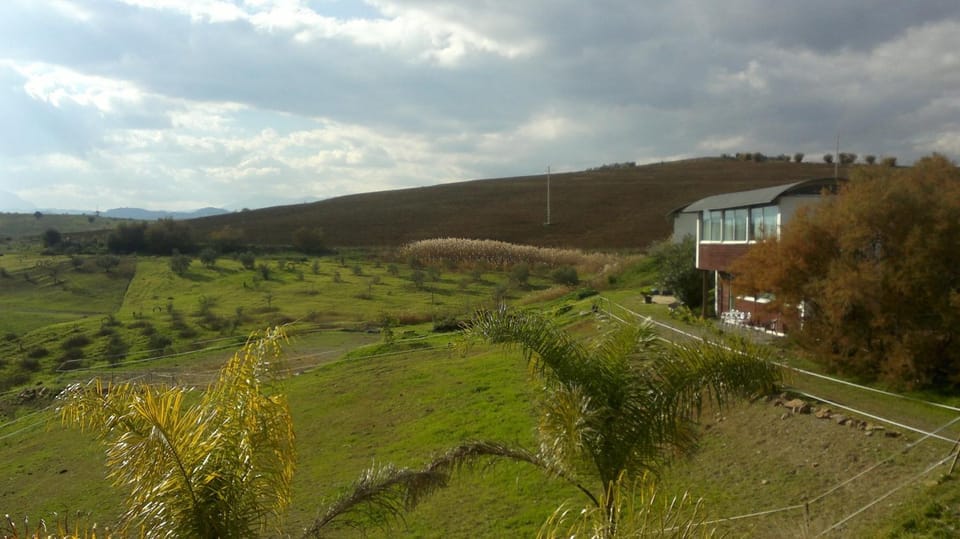CasaMasArab Apartment in Valle del Guadalhorce