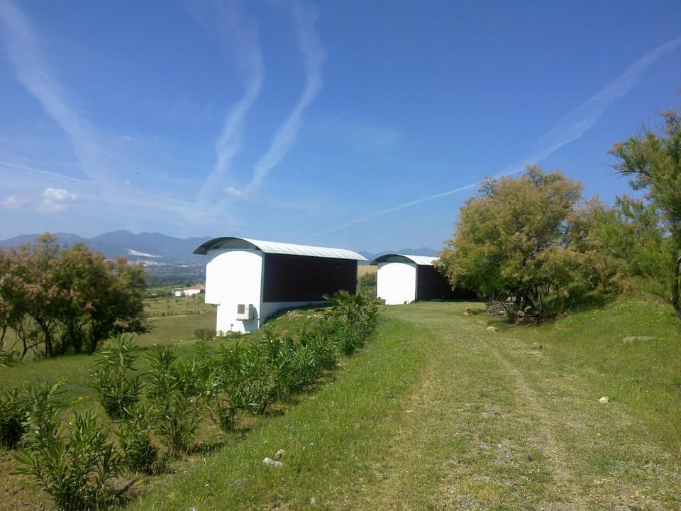 Area and facilities