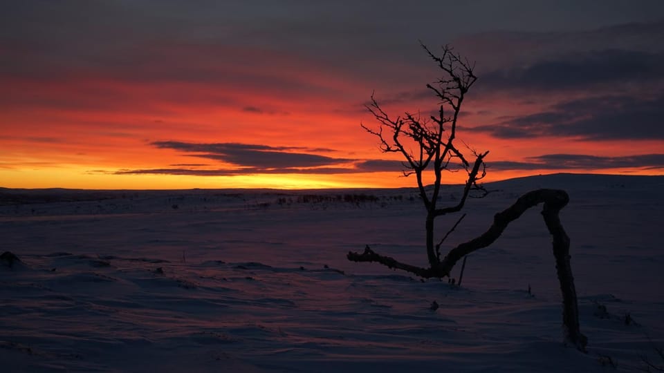 Arctic Aurora Borealis cottages Chalet in Lapland