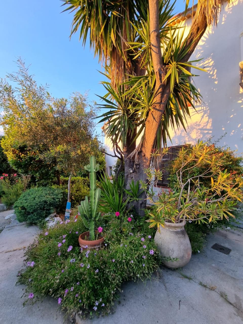 Garden, Garden view