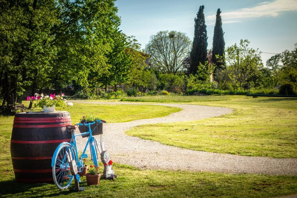 Camping Freedom Istria Pitches Campground/ 
RV Resort in Istria County