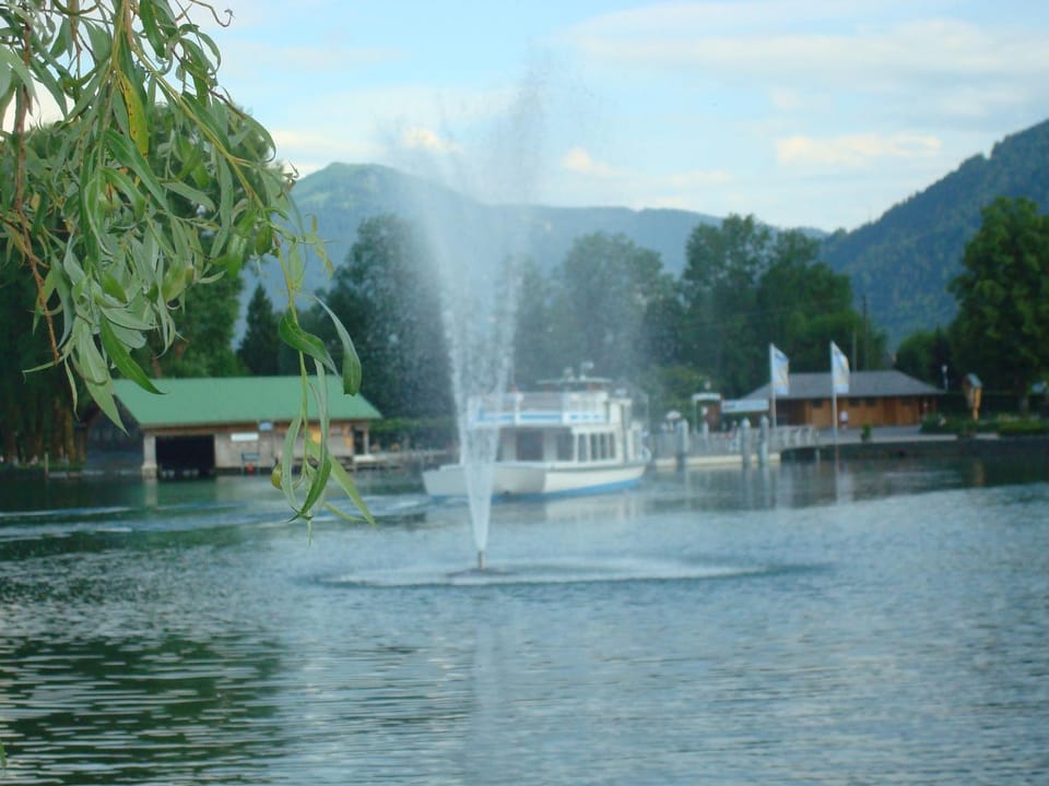 Natural landscape