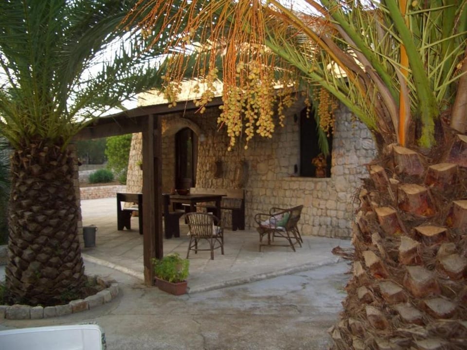 Patio, Facade/entrance, BBQ facilities, Garden