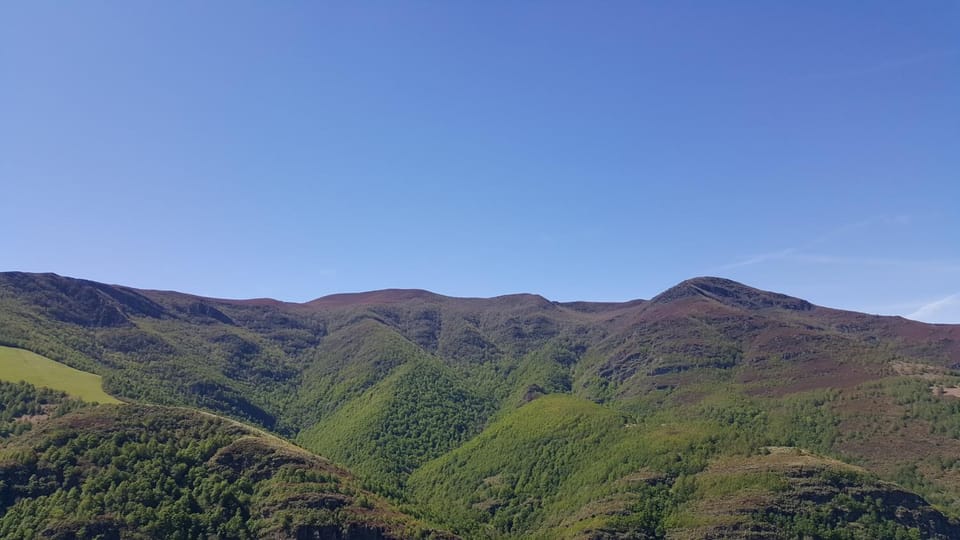 Natural landscape