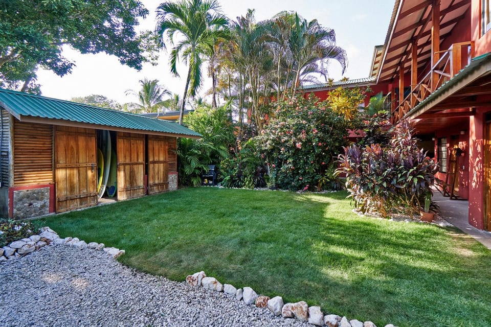 Property building, Garden, Garden view