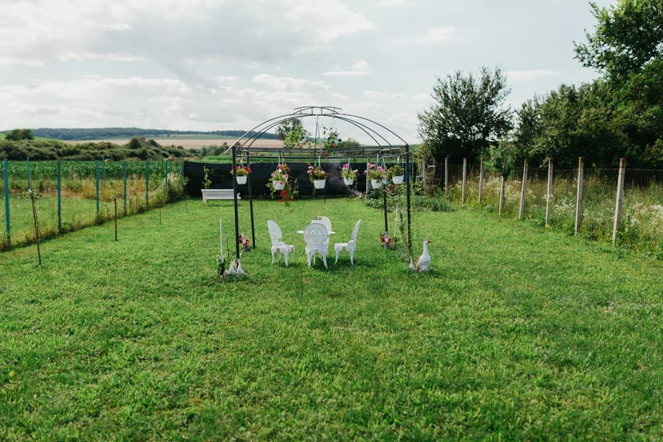 Casa Dan & Lili Bed and Breakfast in Romania