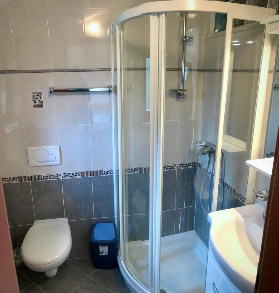 Todor Seaside Apartments Apartment in Istria County