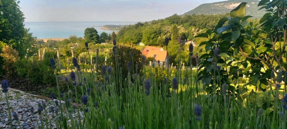 Lake view