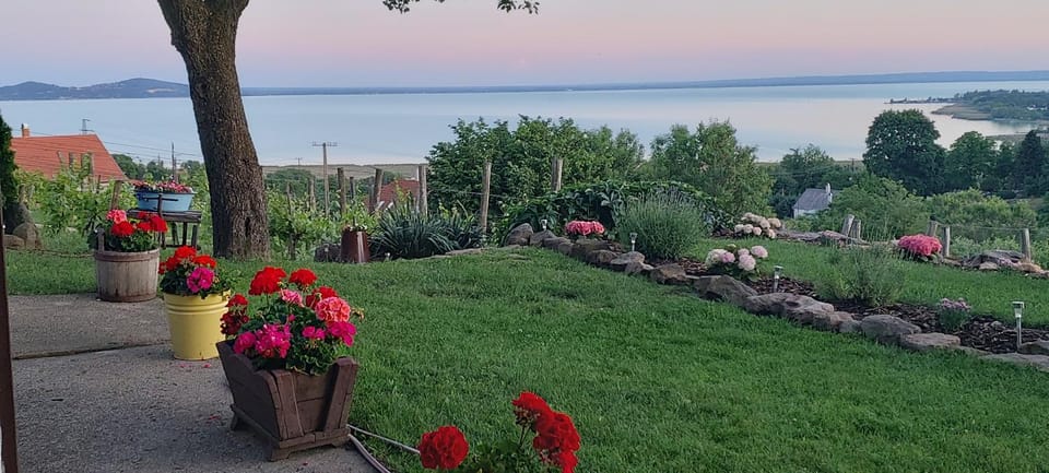 Lake view