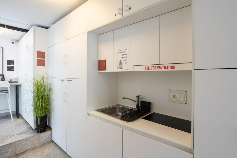 Decorative detail, Communal kitchen, heating, internet, kitchen, air conditioner