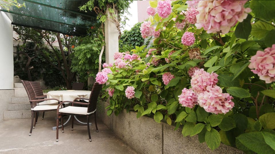 Balcony/Terrace, Garden view