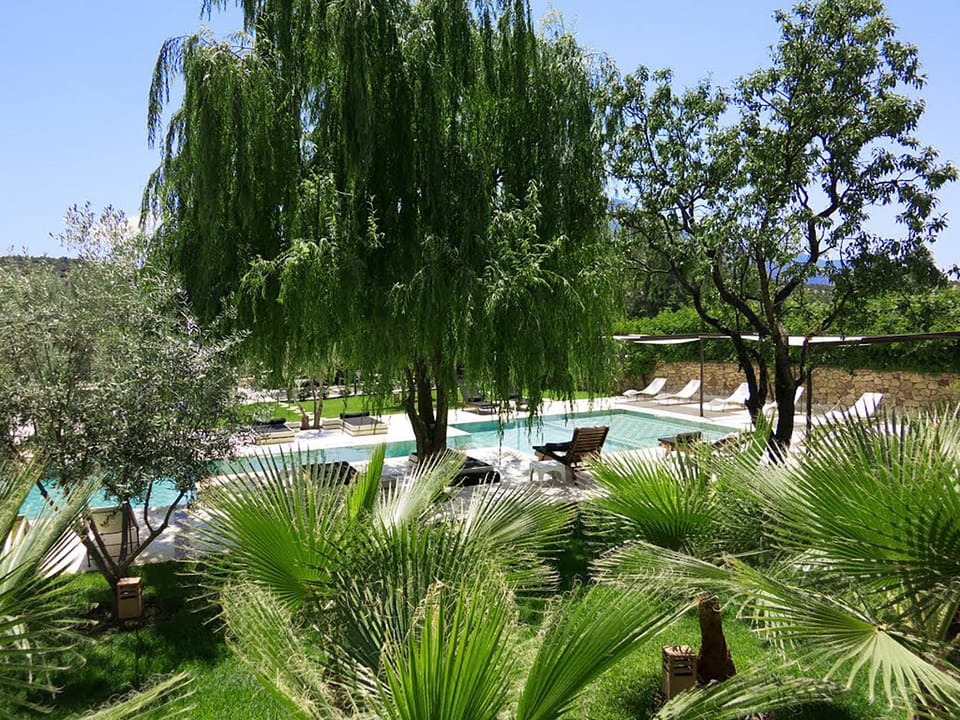 Day, Garden, Swimming pool