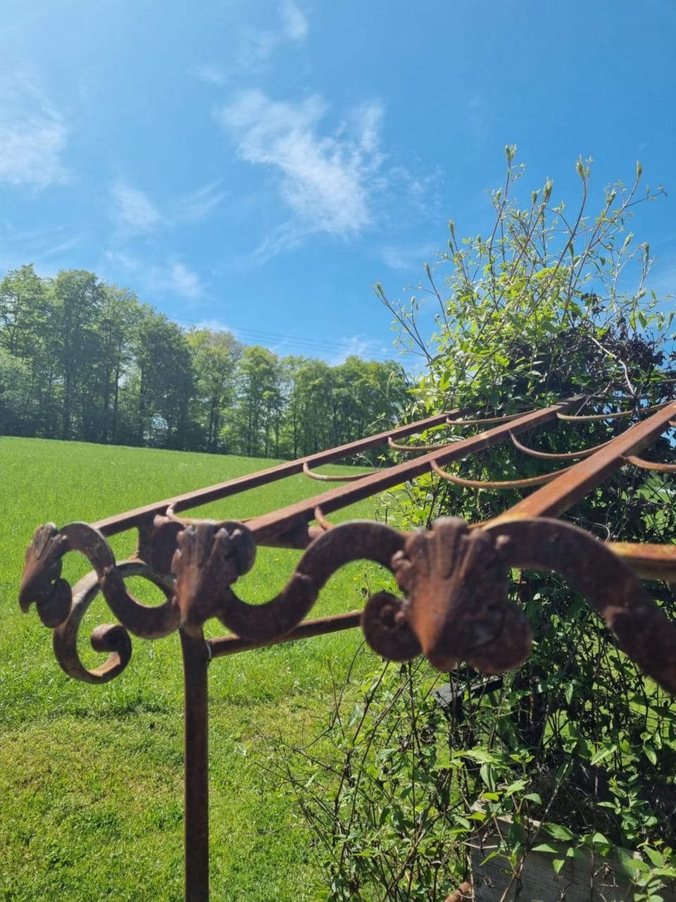 Landhaus Talblick- Frühstückspension Hotel in Thuringia, Germany