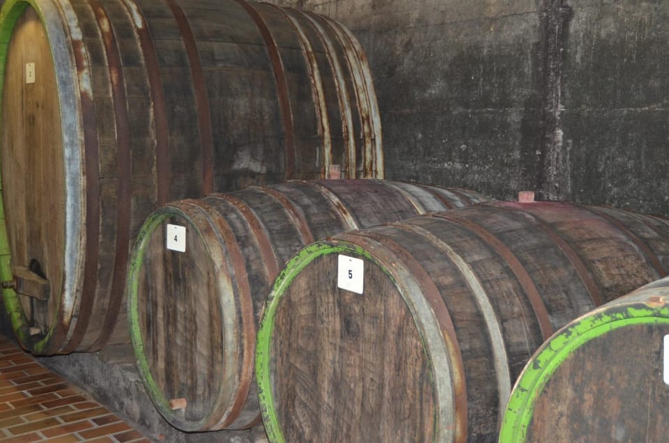 On site, Area and facilities