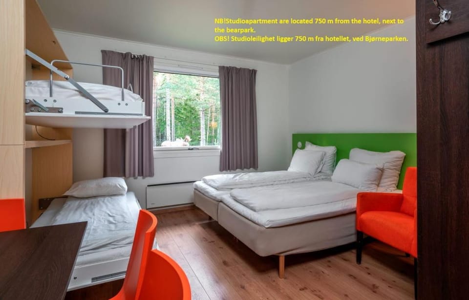 Kitchen or kitchenette, Bedroom, bunk bed