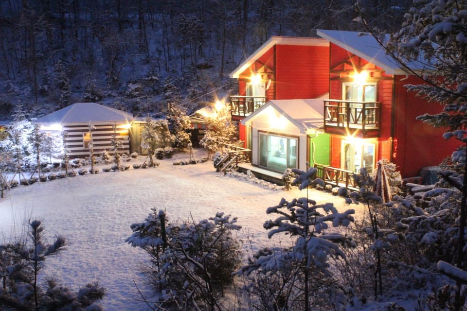 Winter, Garden, Garden view, Mountain view