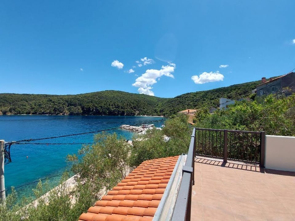 Apartments Valun Apartment in Primorje-Gorski Kotar County