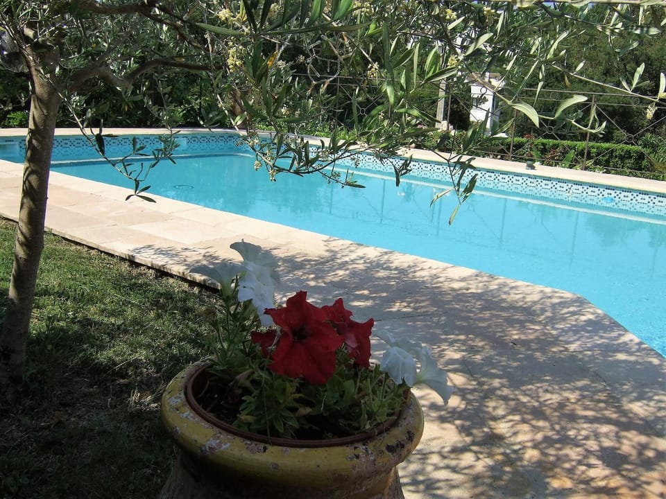 Pool view, Swimming pool, Swimming pool