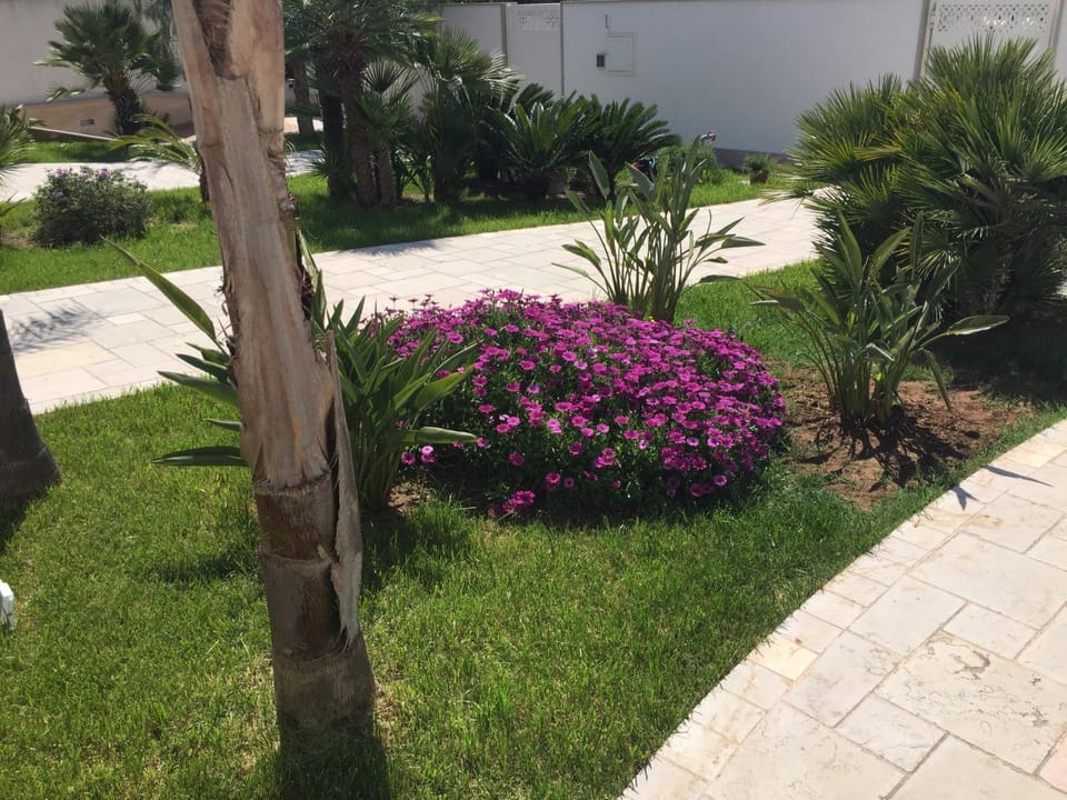 Garden, Garden view